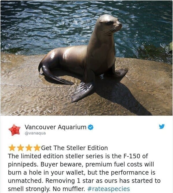 zoo animal reviews.