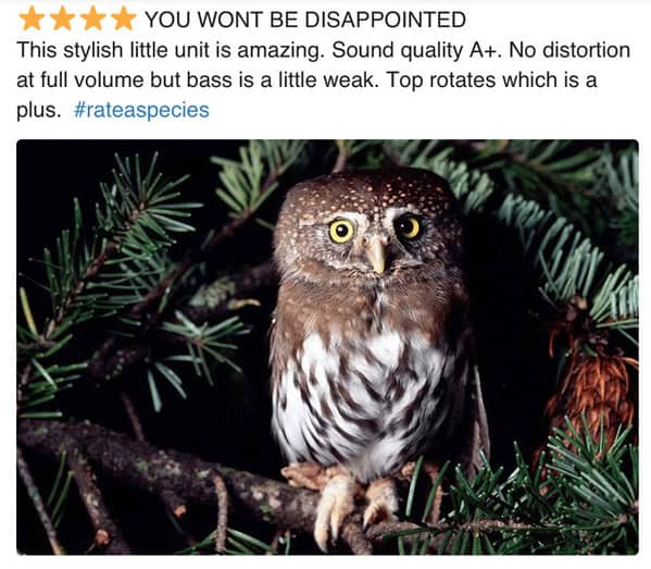 zoo animal reviews.