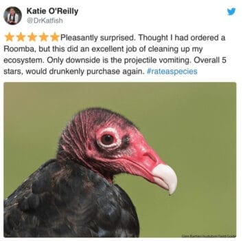 zoo animal reviews. Pleasantly surprised. Thought I had ordered a Roomba, but this did an excellent job of cleaning up my ecosystem. Only downside is the projectile vomiting. Overall 5 stars, would drunkenly purchase again.