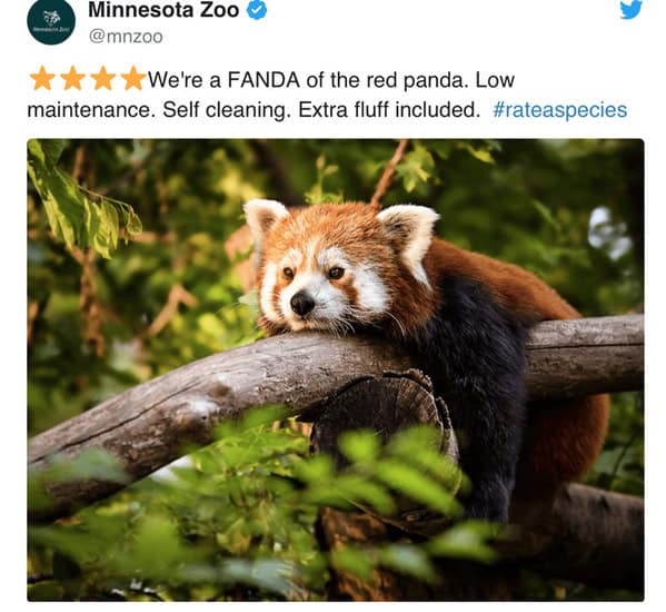zoo animal reviews.