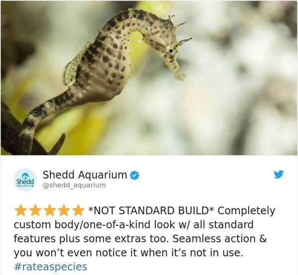 zoo animal reviews. *NOT STANDARD BUILD* Completely custom body/one-of-a-kind look w/ all standard features plus some extras too. Seamless action & you won't even notice it when it's not in use.