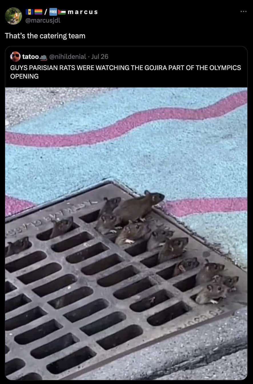 2024 olympics memes, olympics memes, olympic memes, paris 2024 memes, Olympic jokes, funny Olympic moments, Olympics humor