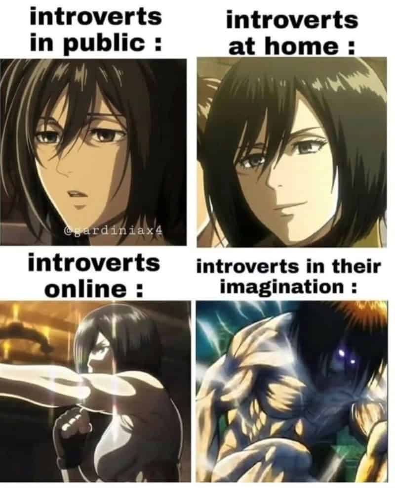 anime memes, otaku memes, anime humor, manga jokes, weeb memes, anime comedy, manga humor
