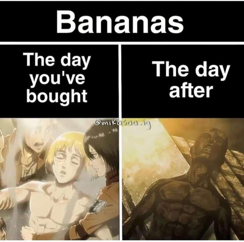 anime memes, otaku memes, anime humor, manga jokes, weeb memes, anime comedy, manga humor