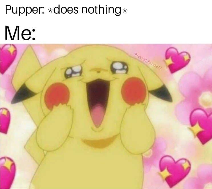 classic memes, vintage memes, viral tweets, vintage internet humor, internet nostalgia, best tweets, timeless memes, retro internet humor, iconic viral content