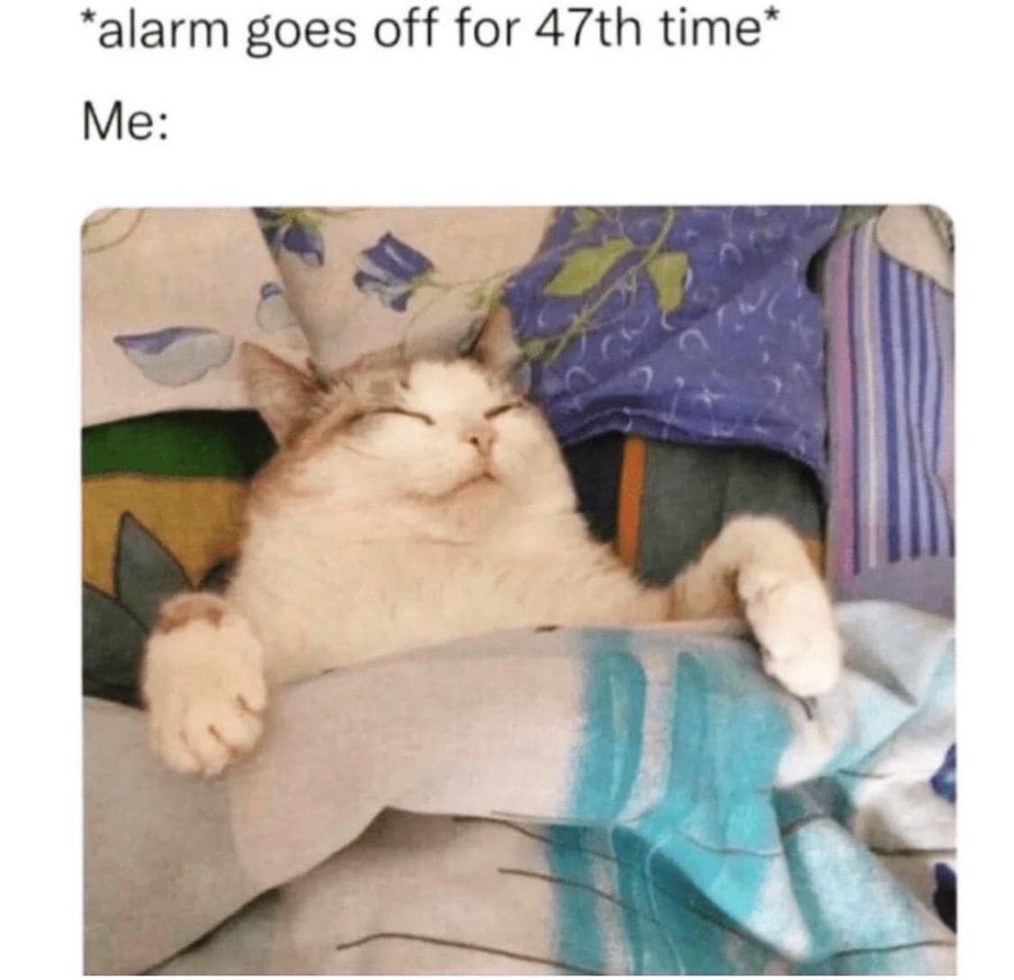 classic memes, vintage memes, viral tweets, vintage internet humor, internet nostalgia, best tweets, timeless memes, retro internet humor, iconic viral content