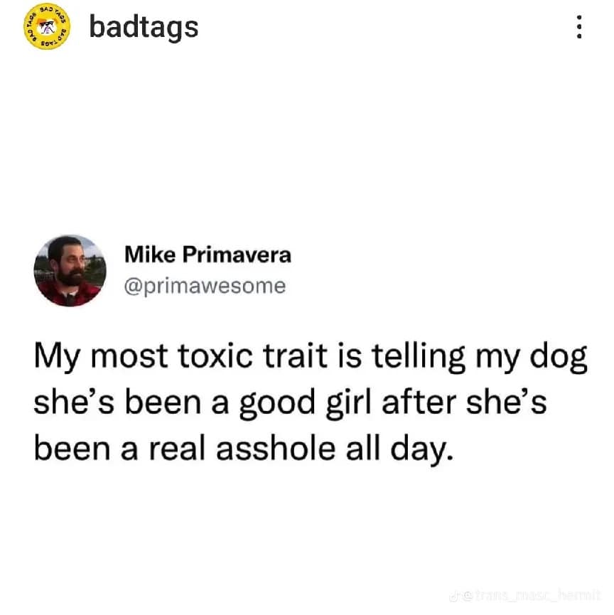 classic memes, vintage memes, viral tweets, internet humor, viral images, meme history, timeless jokes, iconic tweets, viral humor