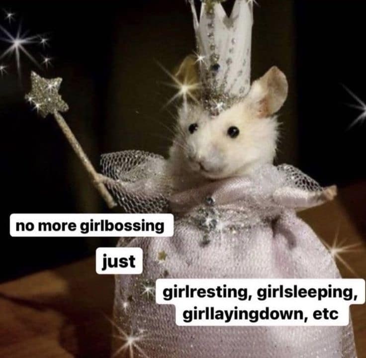 classic memes, vintage memes, viral tweets, timeless memes, internet classics, iconic memes, legendary tweets, evergreen memes