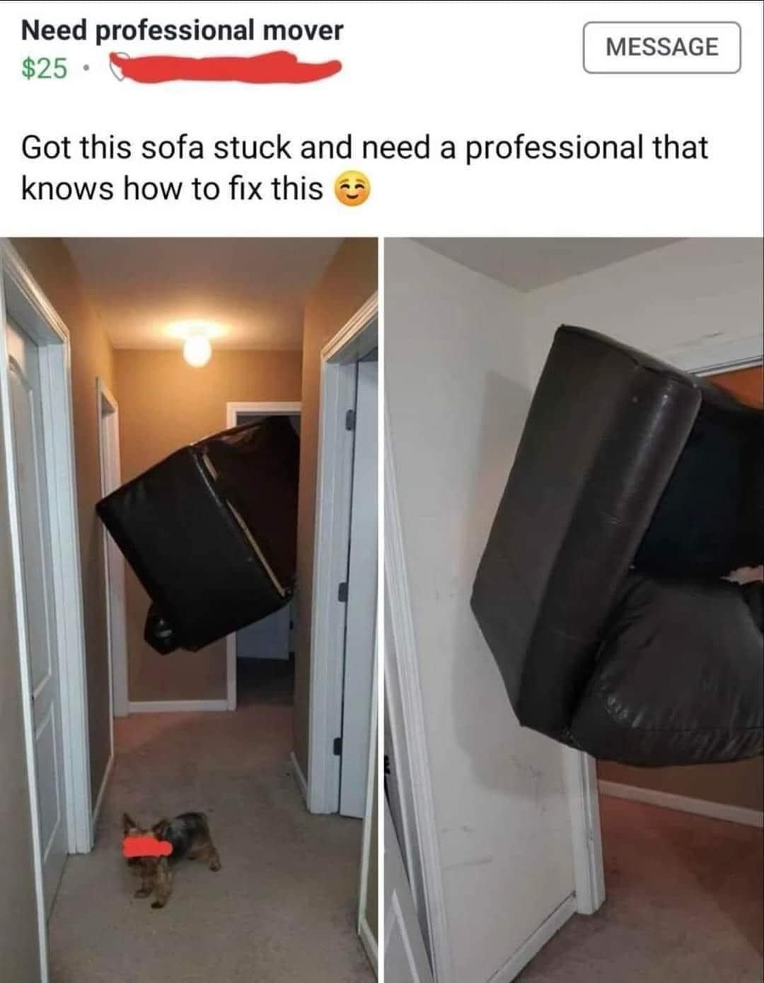classic memes, vintage memes, viral tweets, Funny Memes from the Past, Nostalgic Look at Internet Humor, Classic Meme Revival, Legendary Memes, Timeless Online Jokes, Throwback Meme Laughs