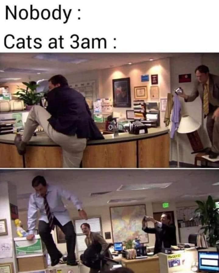 classic memes, vintage memes, viral tweets, timeless memes, internet classics, iconic memes, legendary tweets, evergreen memes