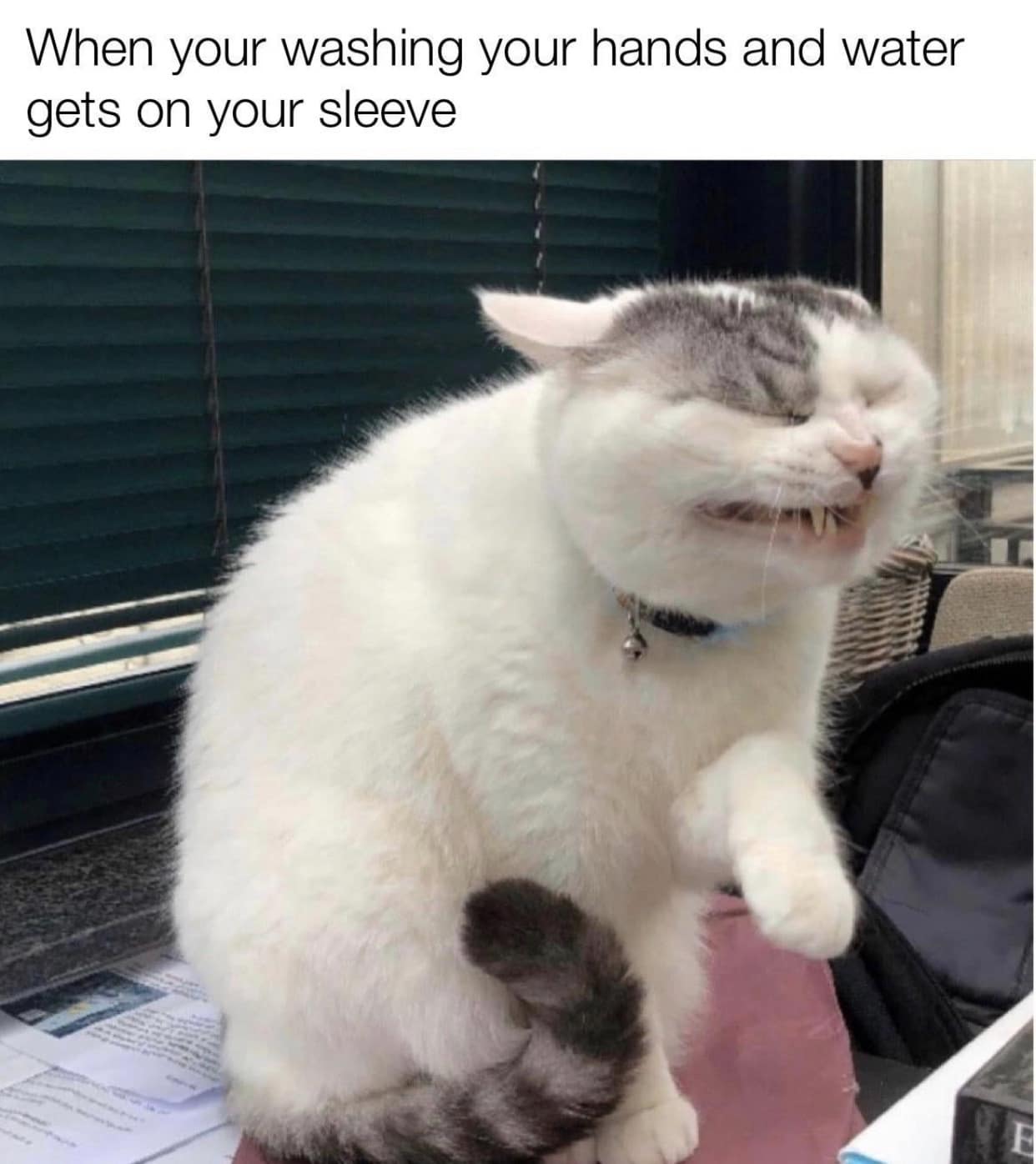 classic memes, vintage memes, viral tweets, viral memes, internet culture, retro memes, old-school memes, iconic memes