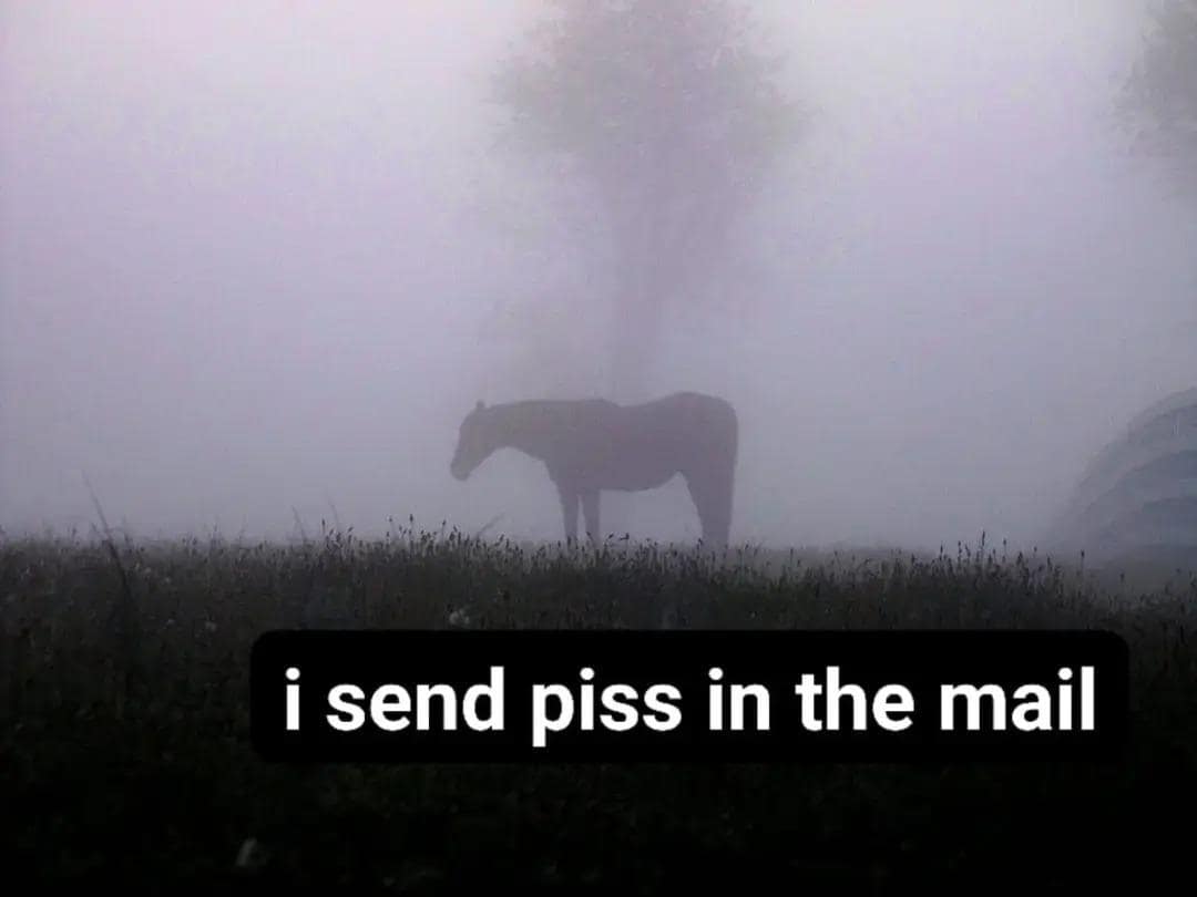classic memes, vintage memes, viral tweets, Funny Memes from the Past, Nostalgic Look at Internet Humor, Classic Meme Revival, Legendary Memes, Timeless Online Jokes, Throwback Meme Laughs