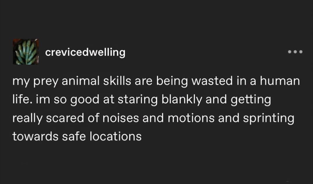 classic memes, vintage memes, viral tweets, Internet Culture, Digital Nostalgia, Timeless Internet Humor, Iconic Online Jokes, old Memes