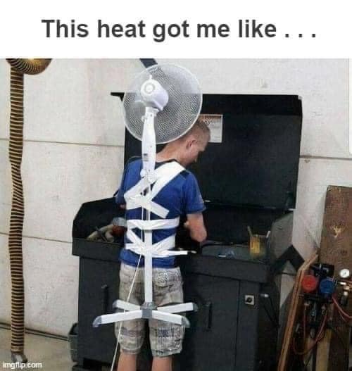 classic memes, vintage memes, viral tweets, Internet Culture, Digital Nostalgia, Timeless Internet Humor, Iconic Online Jokes, old Memes