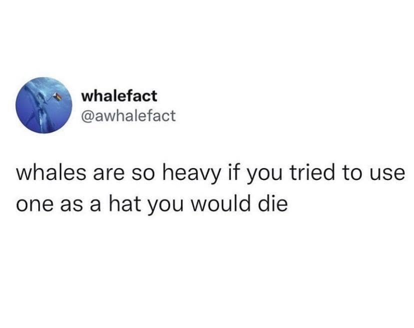 classic memes, vintage memes, viral tweets, digital humor, old memes, best memes, timeless memes, iconic tweets, internet sensations