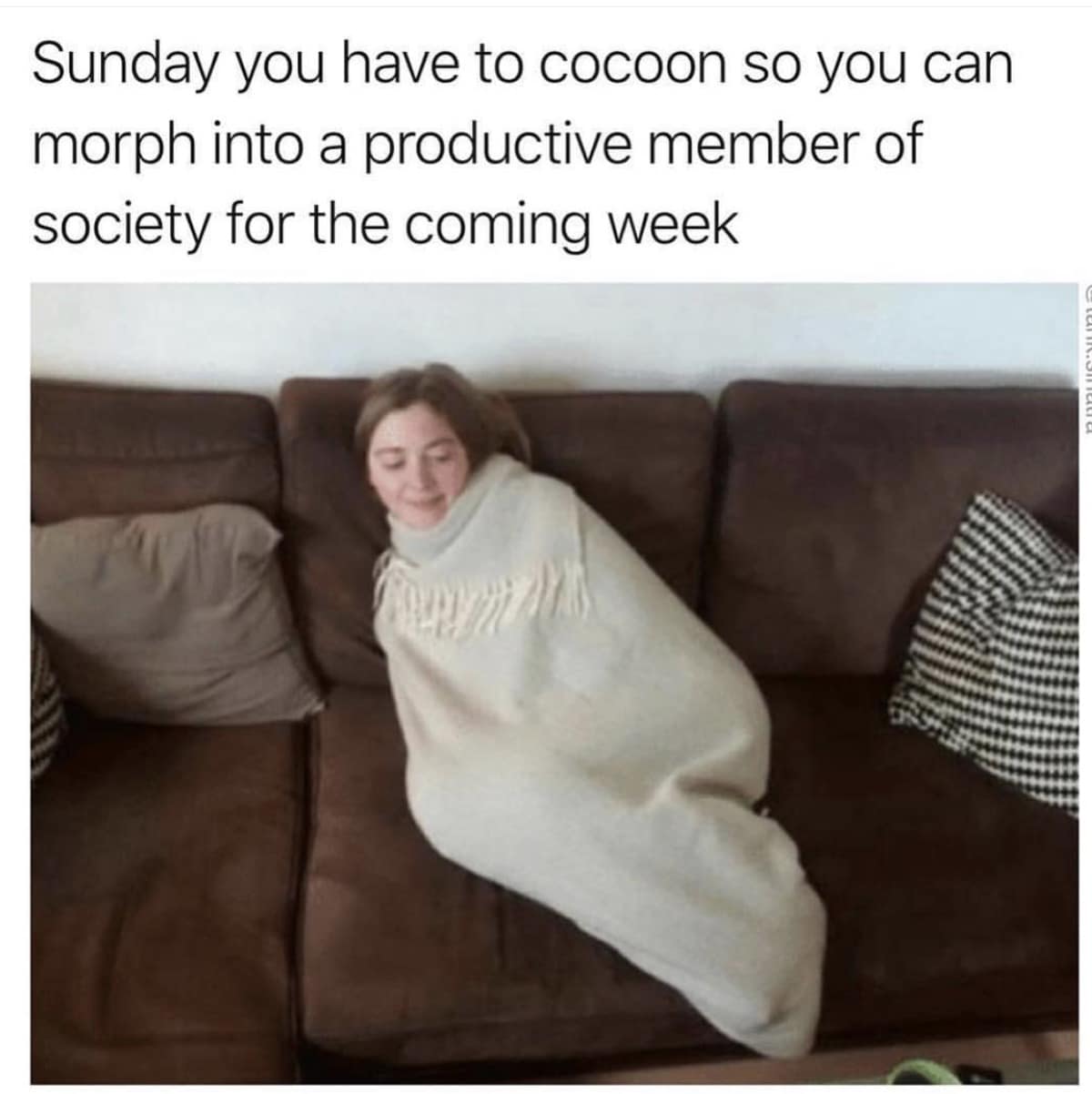 classic memes, vintage memes, viral tweets, Internet Culture, Digital Nostalgia, Timeless Internet Humor, Iconic Online Jokes, old Memes