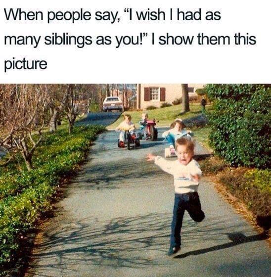 classic memes, vintage memes, viral tweets, digital humor, old memes, best memes, timeless memes, iconic tweets, internet sensations