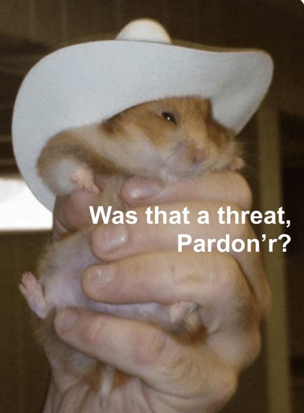 country memes. Was that a threat, Pardon'r?