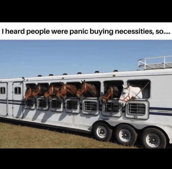 country memes. I heard people were panic buying necessities, so....