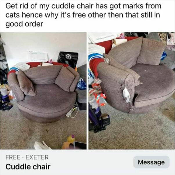 Get rid of my cuddle chair has got marks from cats hence why it's free other then that still in good order