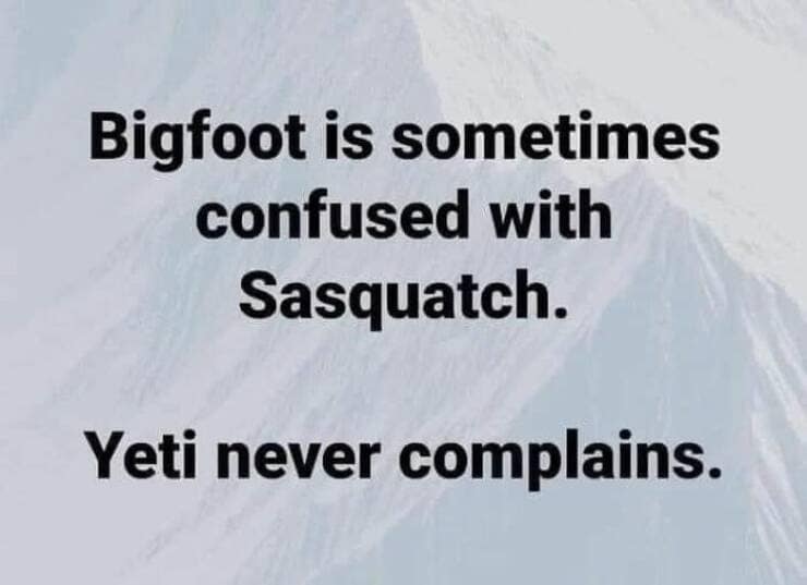 dad jokes, dad memes, father humor, cringe-worthy humor, paternal memes, papa jokes, parental humor