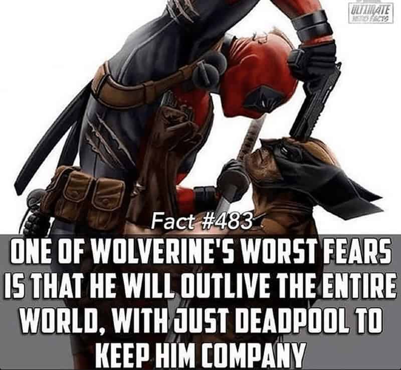 deadpool & wolverine memes, deadpool and wolverine memes, deadpool memes, wolverine memes, superhero memes, Deadpool humor, Wolverine jokes, wolverine vs deadpool