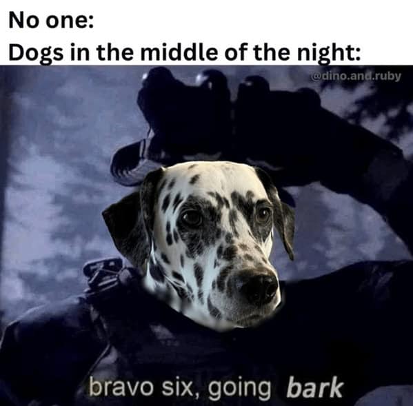 dog memes, pet jokes, canine humor, furry friends, pup memes, doggo humor, tail-wagging jokes