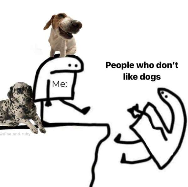 dog memes, pet jokes, canine humor, furry friends, pup memes, doggo humor, tail-wagging jokes