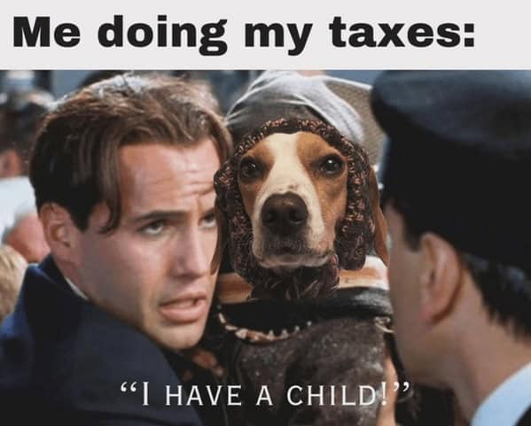 dog memes, pet jokes, canine humor, furry friends, pup memes, doggo humor, tail-wagging jokes