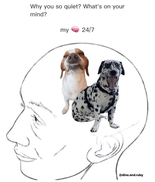 dog memes, pet jokes, canine humor, furry friends, pup memes, doggo humor, tail-wagging jokes