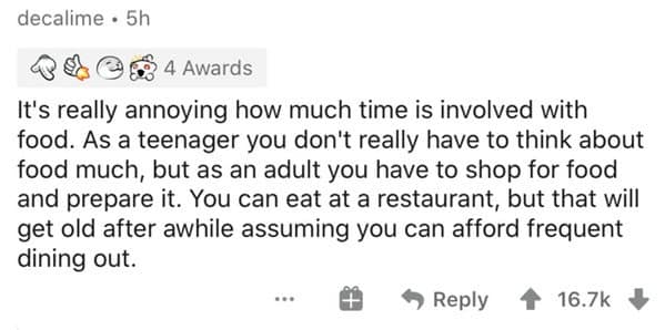 It's really annoying how much time is involved with food. As a teenager you don't really have to think about food much, but as an adult you have to shop for food and prepare it. You can eat at a restaurant, but that will get old after awhile assuming you can afford frequent dining out.