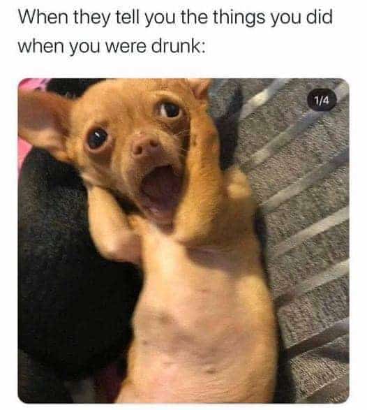 drunk meme, drinking memes, party memes, weekend memes, alcohol memes, boozy memes, intoxicated memes