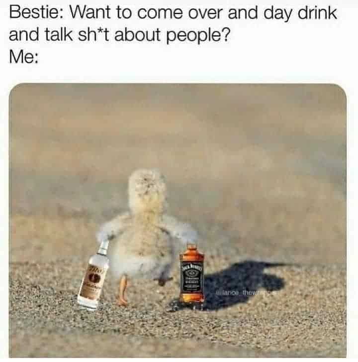 drunk meme, drinking memes, party memes, weekend memes, alcohol memes, boozy memes, intoxicated memes