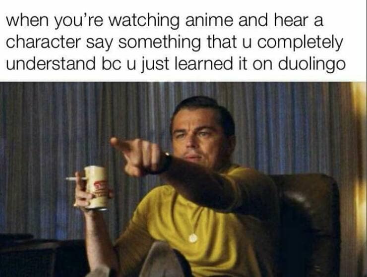 duolingo memes, language learning jokes, app humor, motivational memes