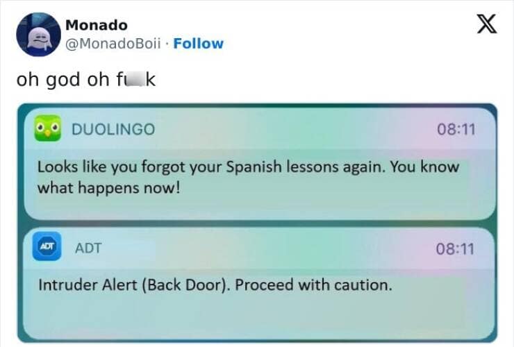 duolingo memes, language learning jokes, app humor, motivational memes