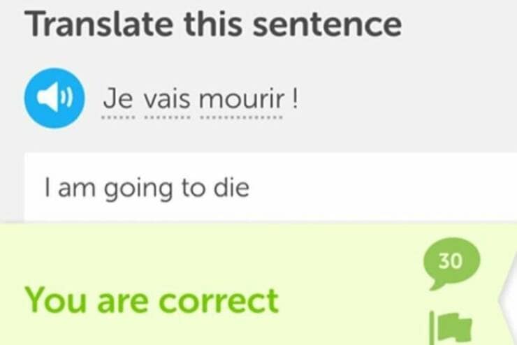 duolingo memes, language learning jokes, app humor, motivational memes