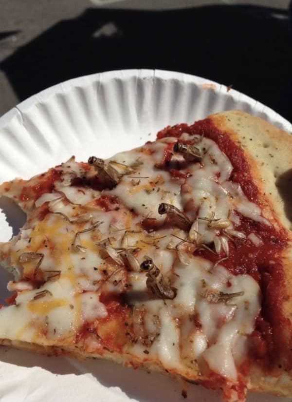 funny food pics, weird foods