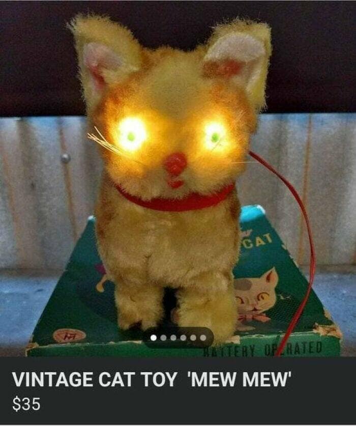 funny ads, bad online listings, advertising fails, online listing blunders, marketing mishaps, hilarious ads, ridiculous listings, ad mistakes