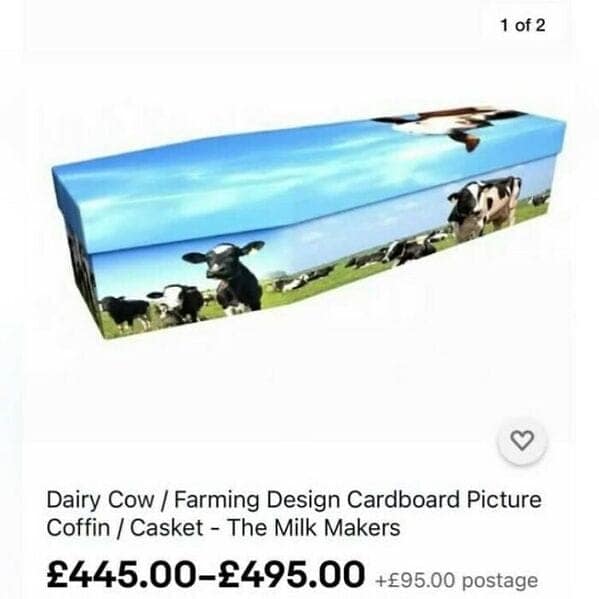 funny ebay listings, weird ebay products, hilarious online listings, bizarre auction items, strange eBay items, unusual eBay listings, funny auction posts, amusing online sales, odd auction listings, quirky sale items