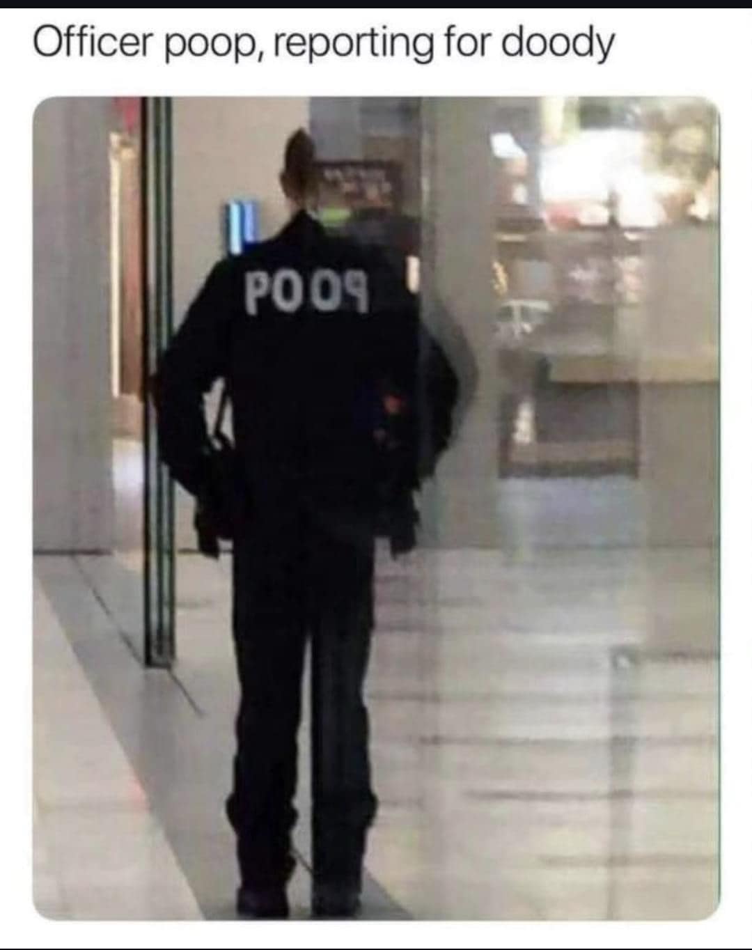 funny memes. Officer poop, reporting for doody