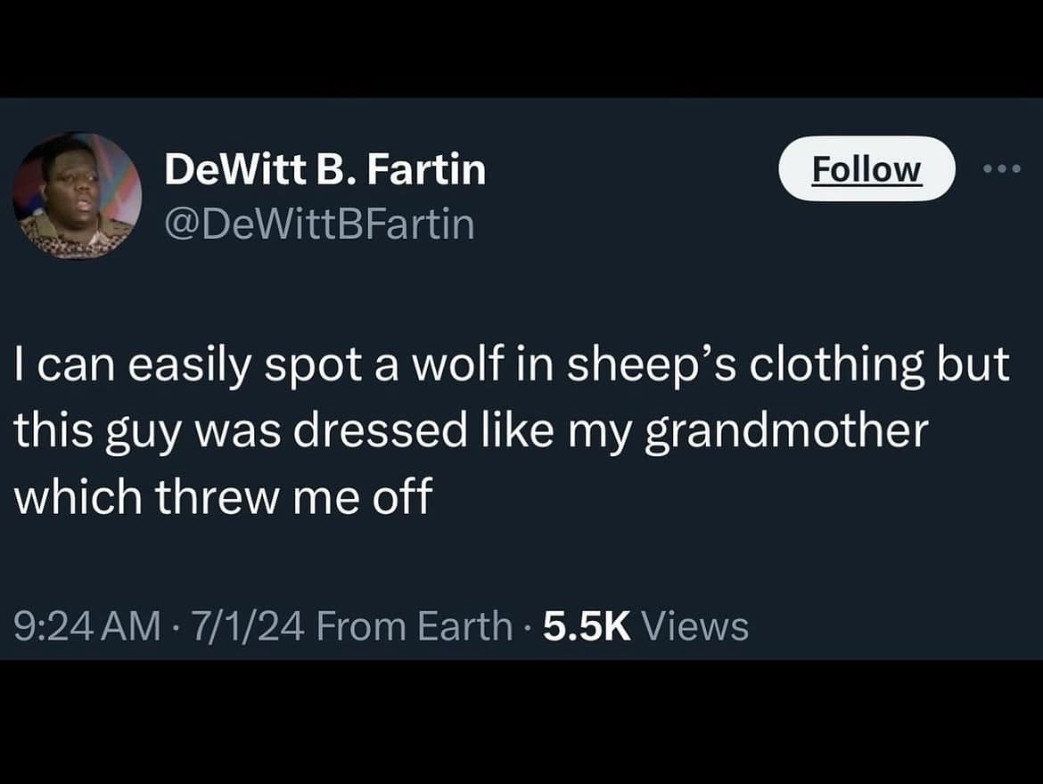 funny memes. I can easily spot a wolf in sheep's clothing but this guy was dressed like my grandmother which threw me off