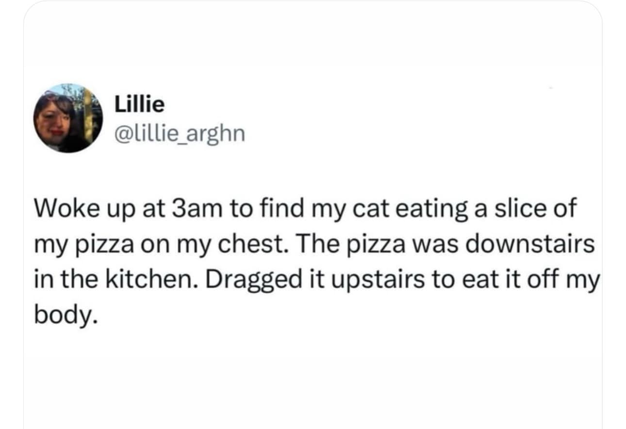 funny memes. Woke up at 3am to find my cat eating a slice of my pizza on my chest. The pizza was downstairs in the kitchen. Dragged it upstairs to eat it off my body.