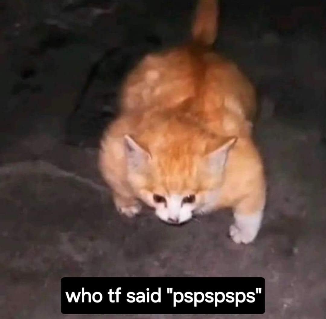 funny memes. who tf said "pspspsps"