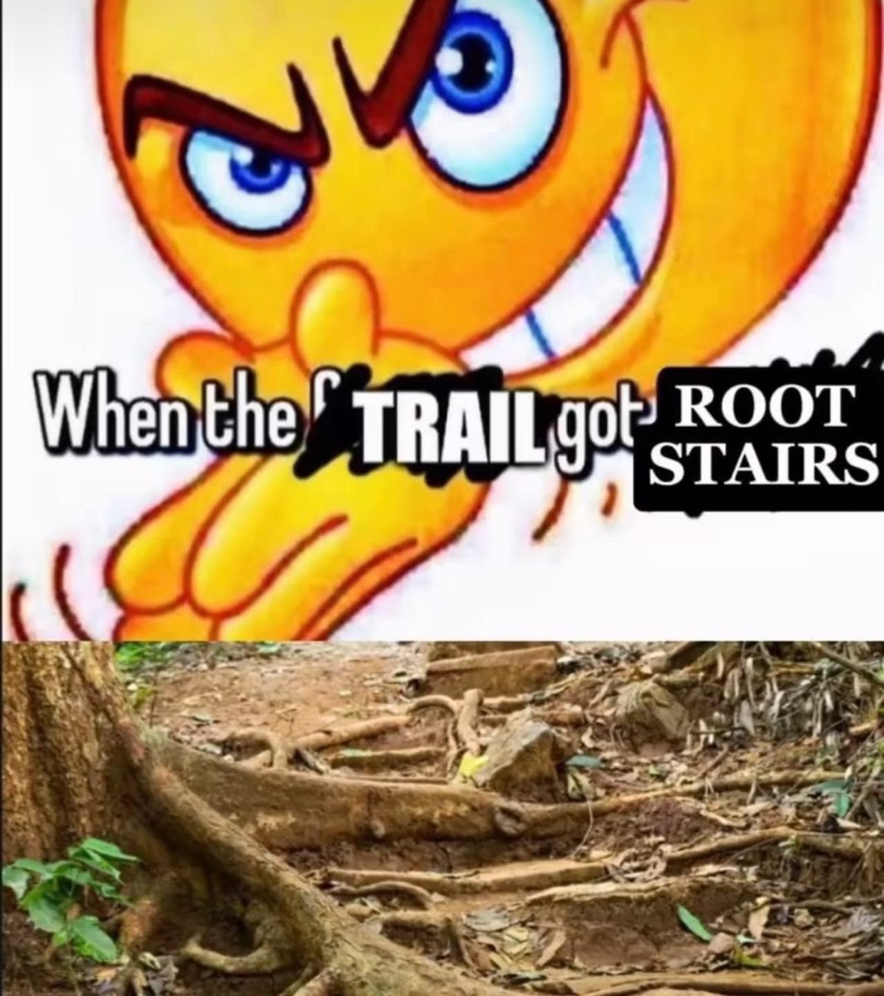 funny memes. When the TRAIL gor ROOT STAIRS