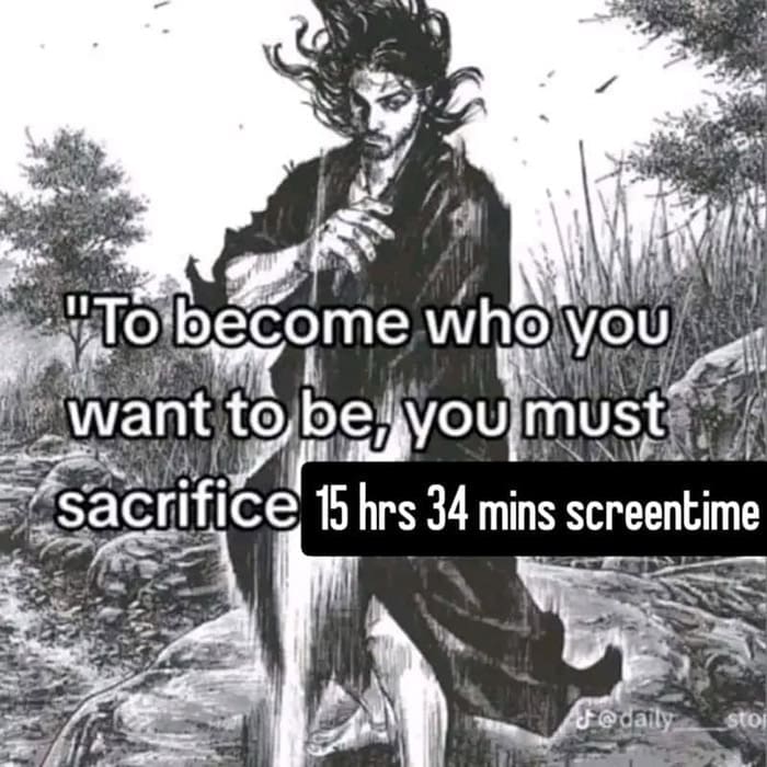 funny memes. "To become who you want to be, you must sacrifice 15 hrs 34 mins screentime