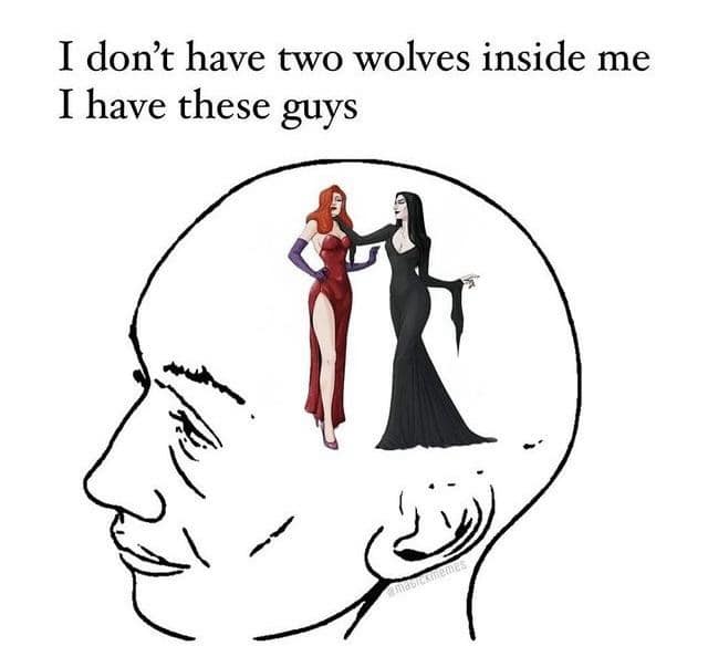 funny memes. I don't have two wolves inside me I have these guys