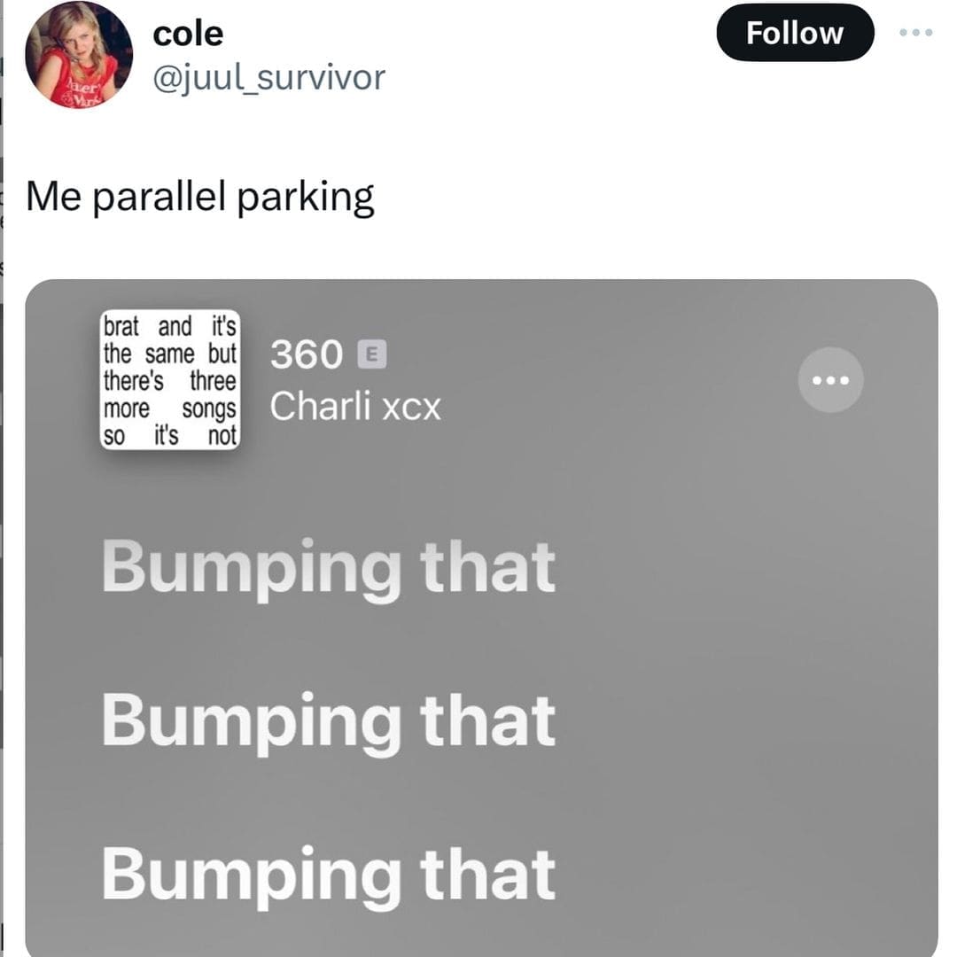 funny memes. Me parallel parking