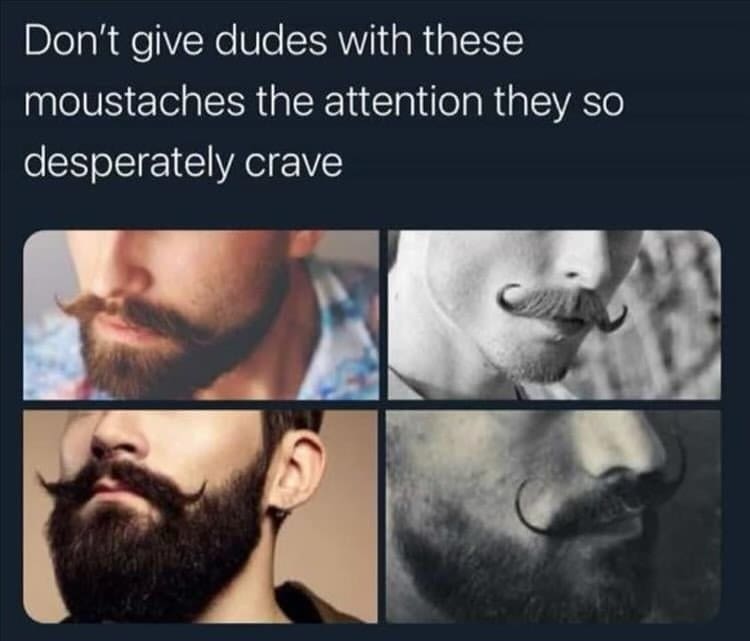 funny memes. Don't give dudes with these moustaches the attention they so desperately crave