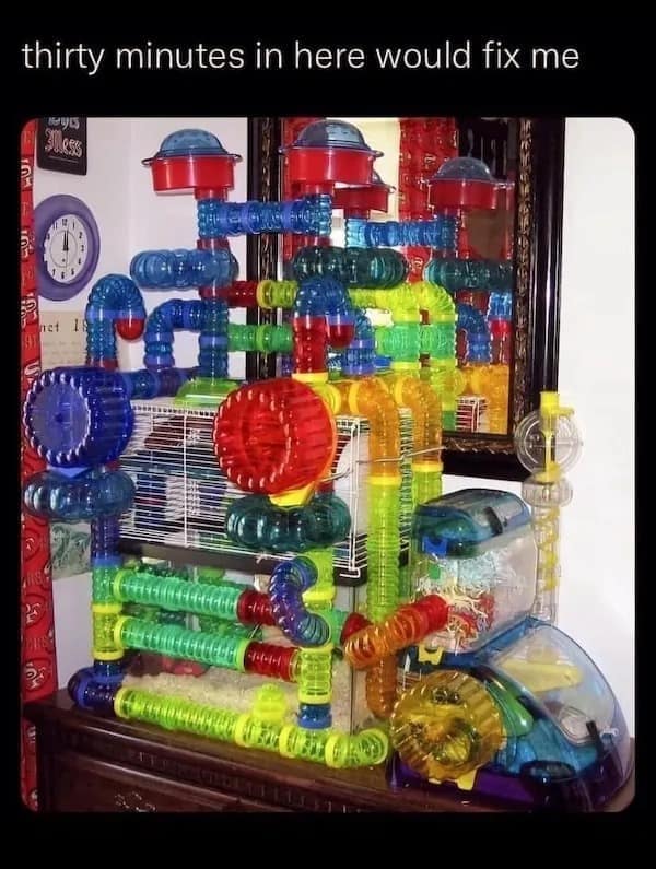 thirty minutes in here would fix me