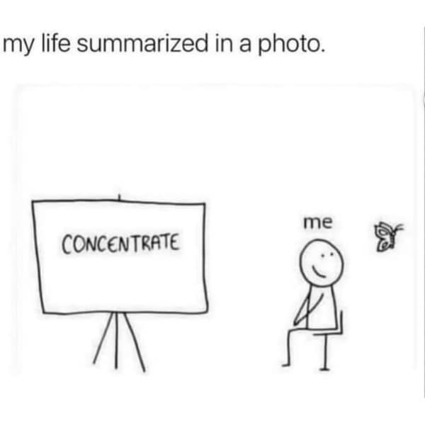 funny memes. my life summarized in a photo.